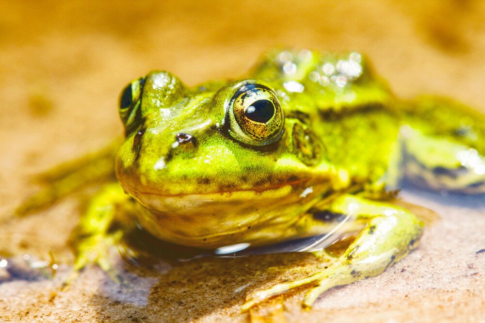 After · Stef Styles|The Traveller|Dreamy Bright