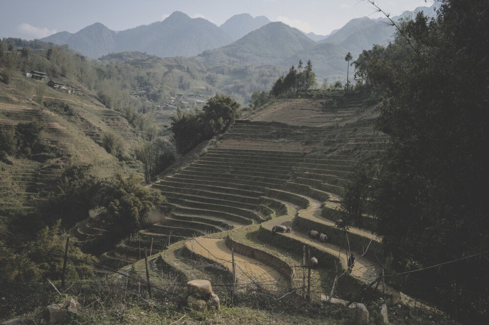 After · Dark Tones|Moody Dark Blue