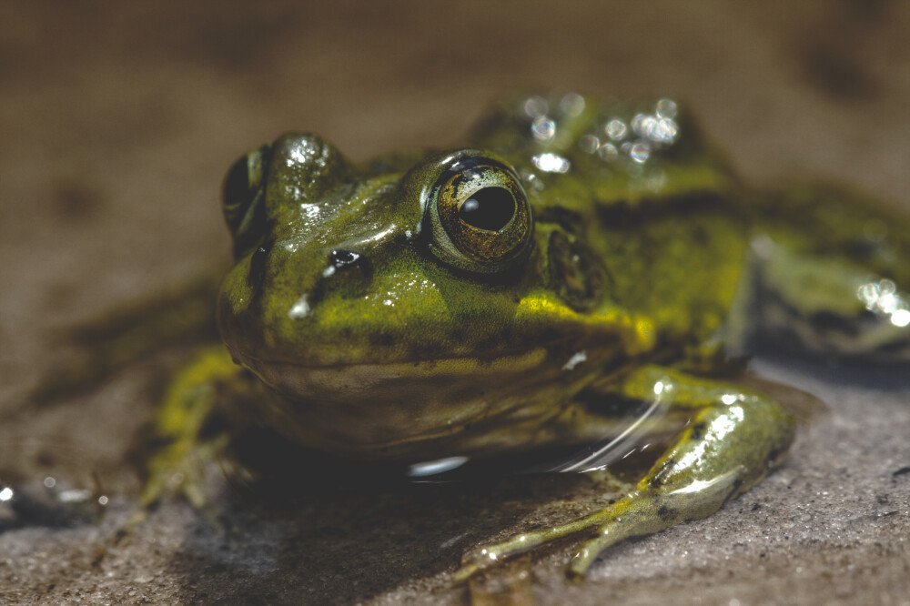After · Dark Tones|Moody Dark Blue