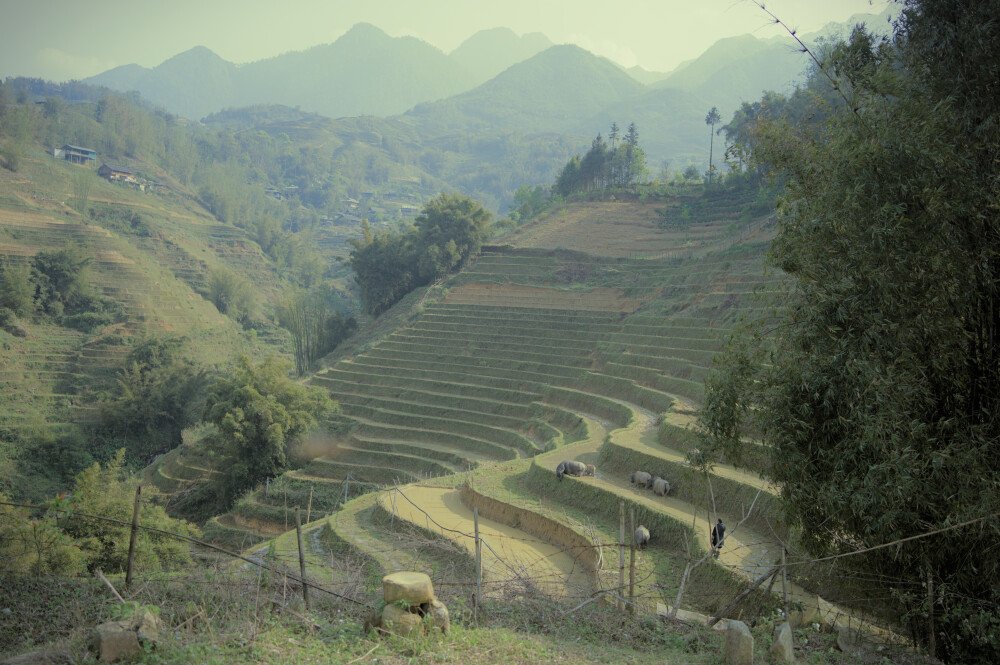 After · Stef Styles|Vintage|Portrait II