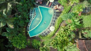 Stef Styles|Vintage|Portrait II - Floating in a jungle pool