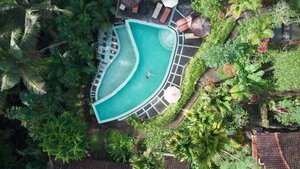 Floating in a jungle pool